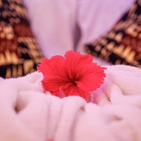 Nungwi Heritage Resort Экстерьер фото